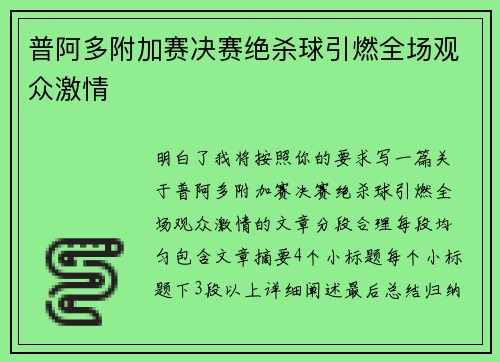 普阿多附加赛决赛绝杀球引燃全场观众激情